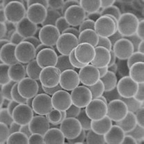 PHOT_20230412_polystyrene_beads_picture_application_note